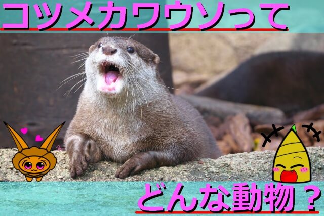 Thumbnail of post image 082